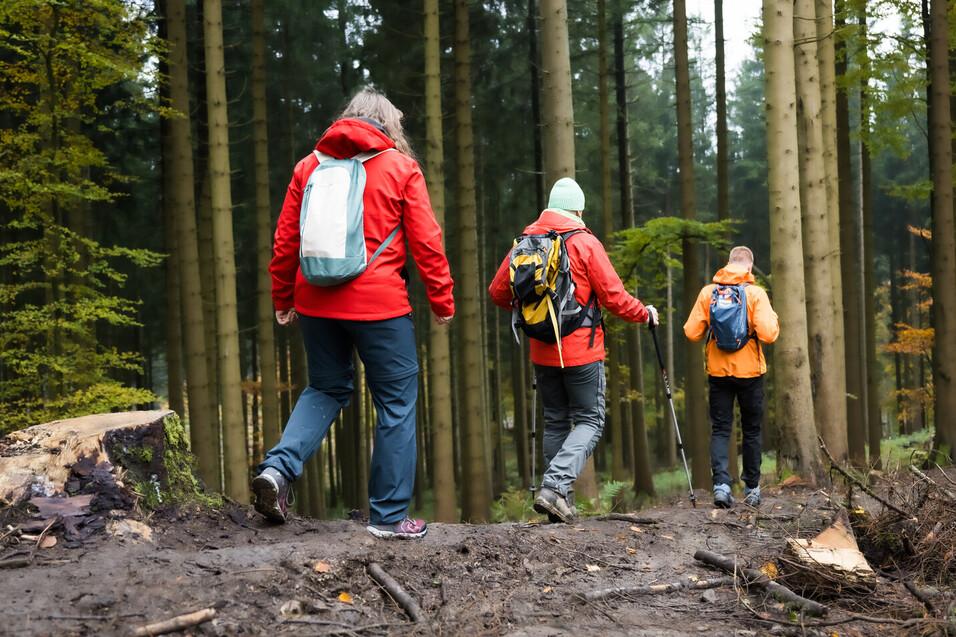 Jahreszeitliche Wanderung 3 Menschen wandern im Wald