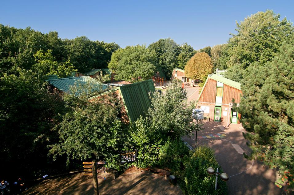 Vogelperspektive des Sport- und Erlebnisdorfes. Bäume und Gästehäuser