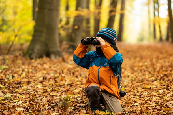 Kind mit Fernglas im Wald